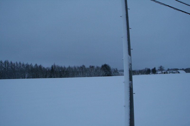 ファイル 103-1.jpg