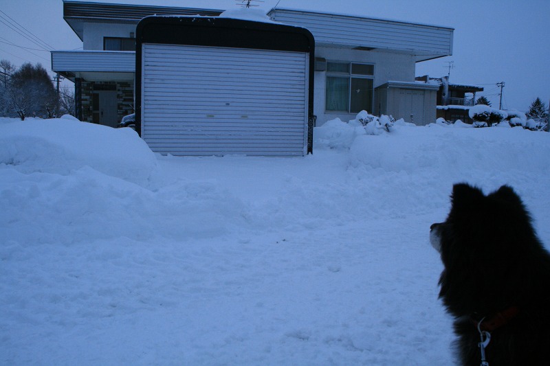 ファイル 103-3.jpg