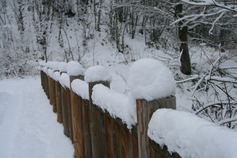 ファイル 104-2.jpg