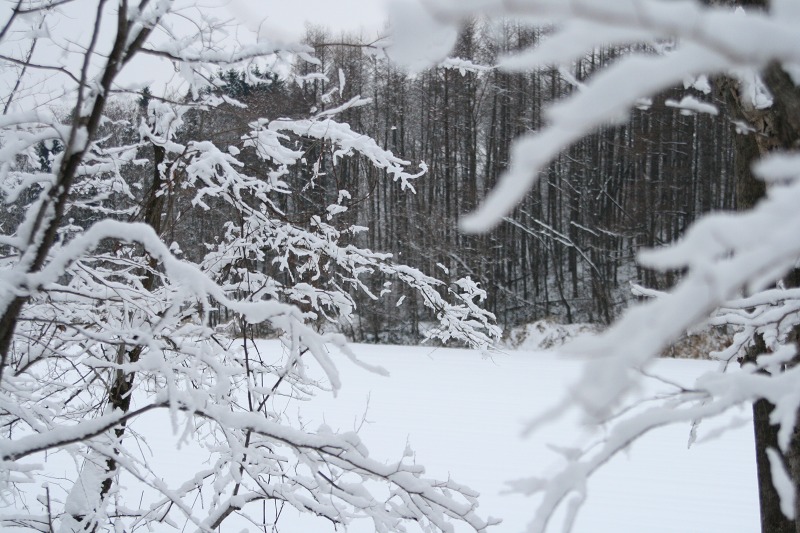 ファイル 104-3.jpg