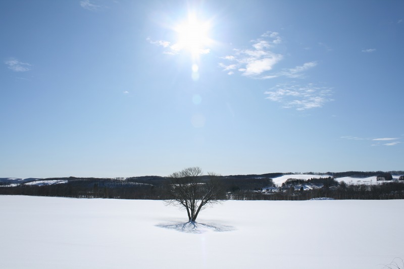 ファイル 105-1.jpg