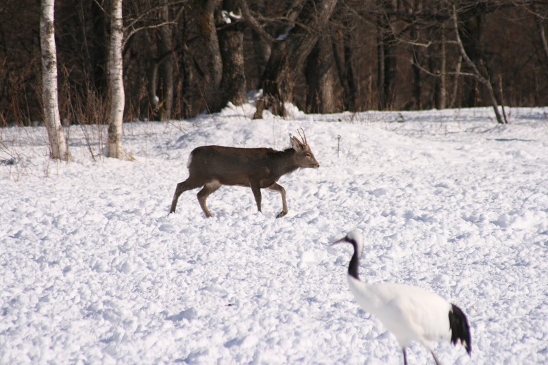 ファイル 105-2.jpg