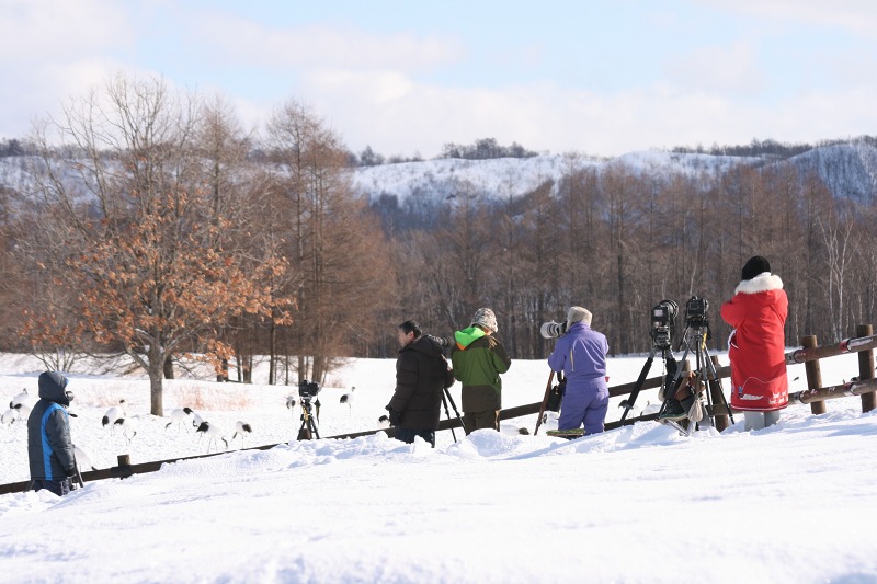 ファイル 105-3.jpg