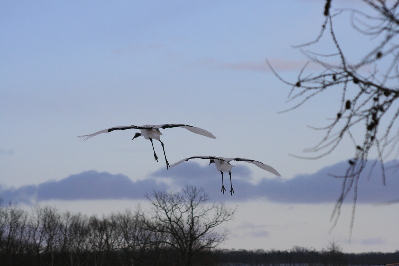 ファイル 106-1.jpg