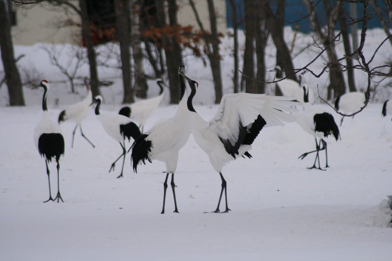 ファイル 106-3.jpg