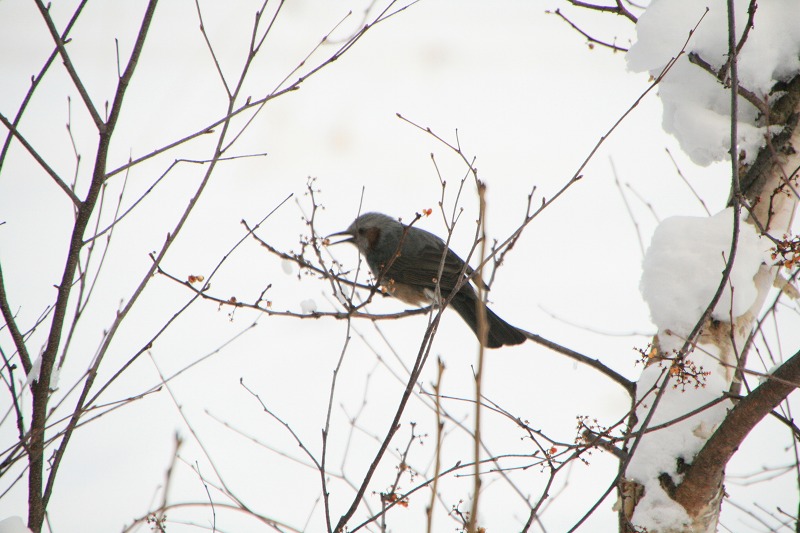 ファイル 107-1.jpg