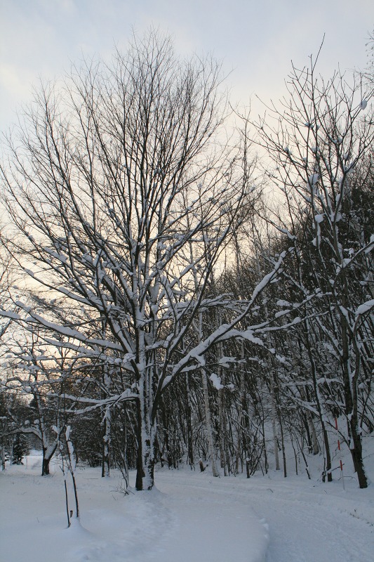 ファイル 107-2.jpg