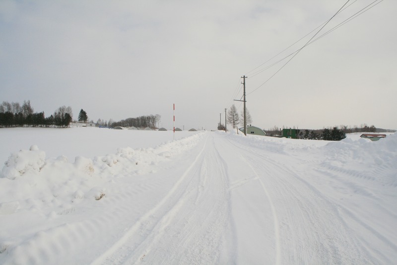 ファイル 107-4.jpg