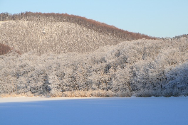 ファイル 109-1.jpg