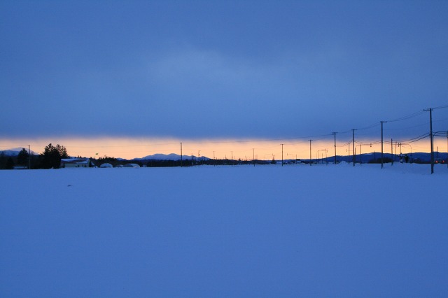 ファイル 110-1.jpg