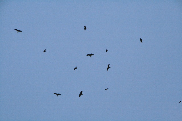 ファイル 110-2.jpg