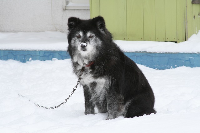 ファイル 111-2.jpg