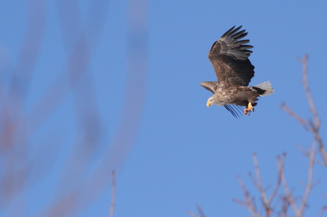 ファイル 114-1.jpg