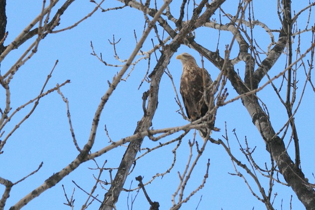 ファイル 114-2.jpg