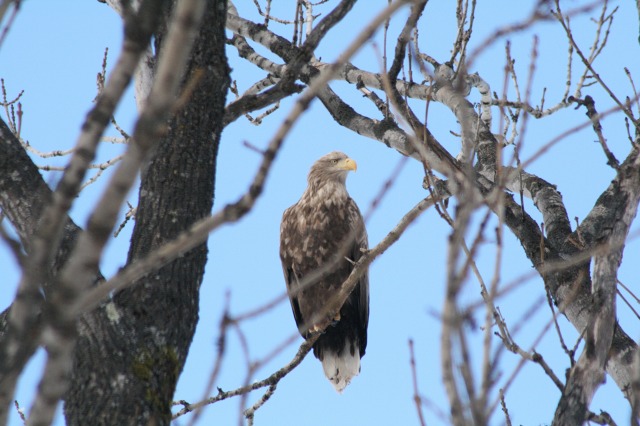 ファイル 114-3.jpg