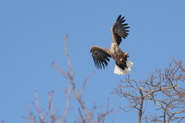 ファイル 114-4.jpg