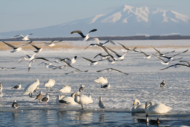 ファイル 115-1.jpg