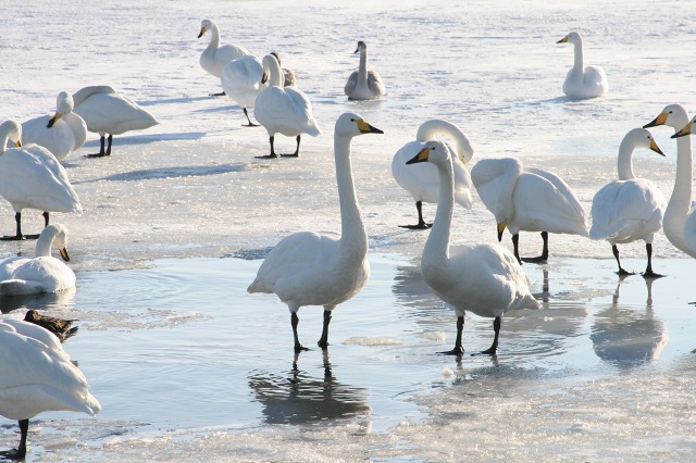 ファイル 115-2.jpg