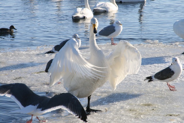 ファイル 115-5.jpg