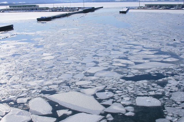 ファイル 117-1.jpg