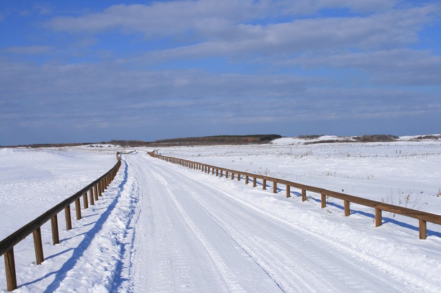 ファイル 117-3.jpg