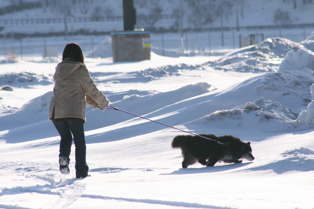 ファイル 118-3.jpg