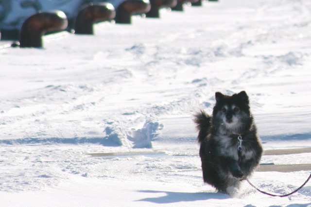 ファイル 118-4.jpg