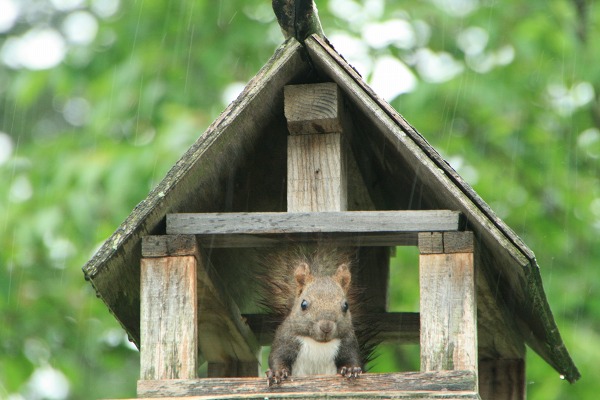 ファイル 119-1.jpg