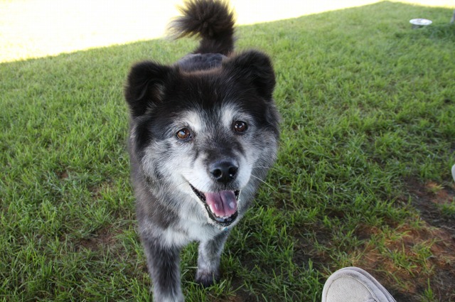 ファイル 12-3.jpg