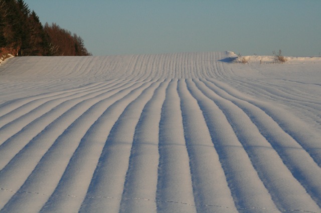 ファイル 120-2.jpg