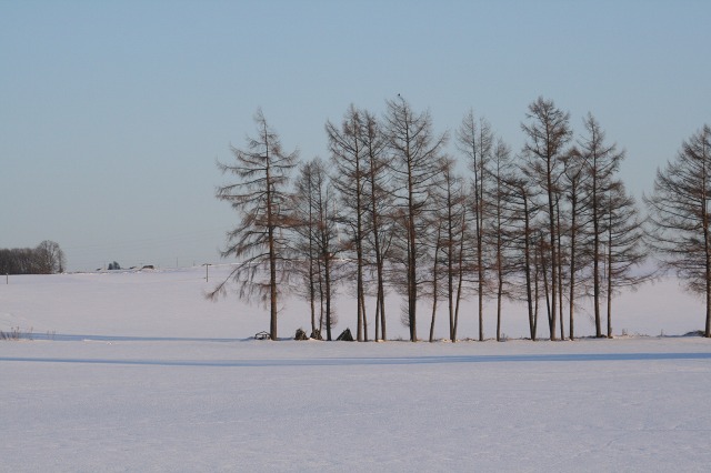 ファイル 120-3.jpg