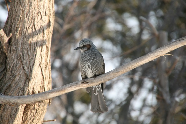 ファイル 120-4.jpg