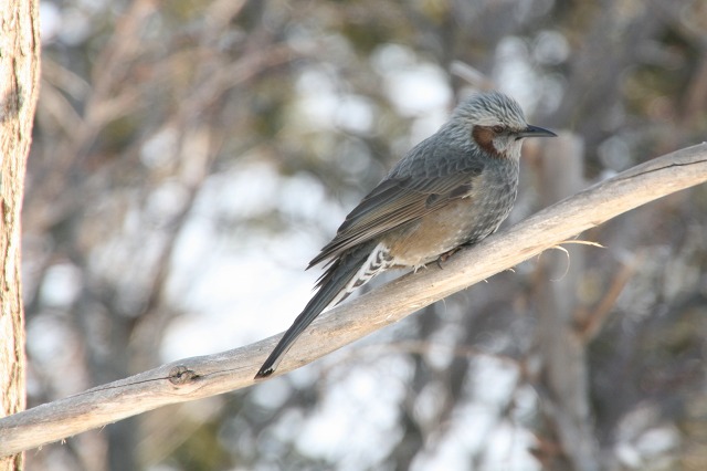 ファイル 120-5.jpg