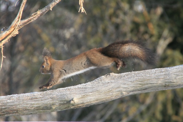 ファイル 121-3.jpg