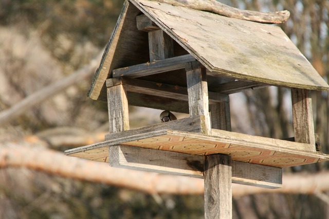 ファイル 122-2.jpg