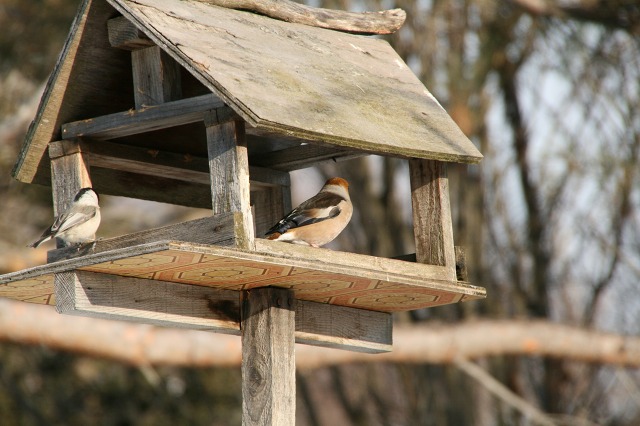 ファイル 122-3.jpg