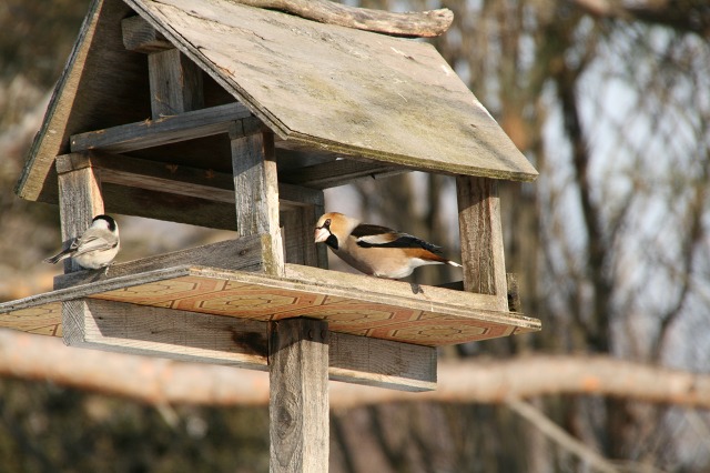 ファイル 122-4.jpg