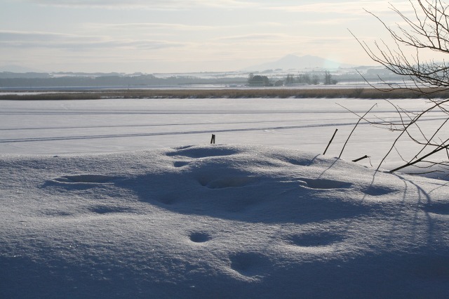 ファイル 124-2.jpg