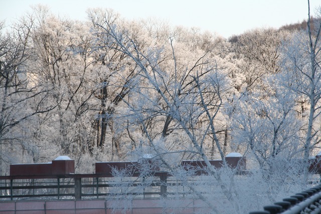 ファイル 125-2.jpg