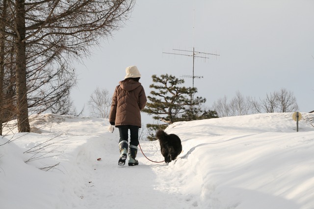 ファイル 126-3.jpg