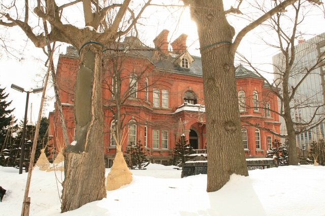 ファイル 128-3.jpg