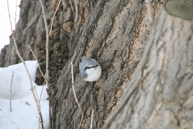 ファイル 128-4.jpg