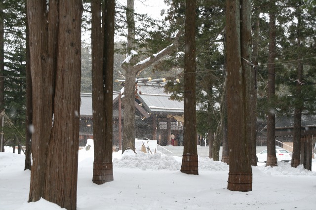 ファイル 129-3.jpg