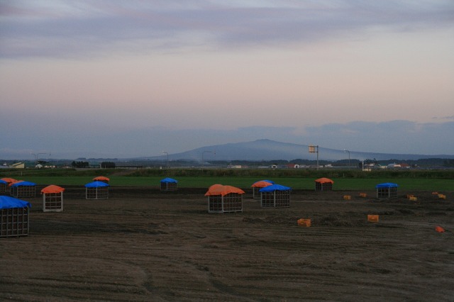 ファイル 13-3.jpg