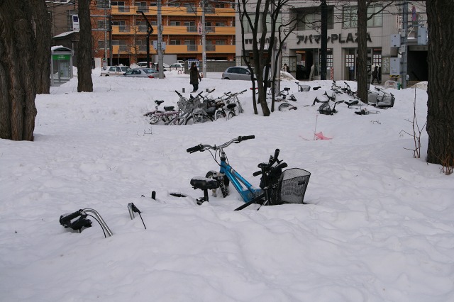 ファイル 131-1.jpg