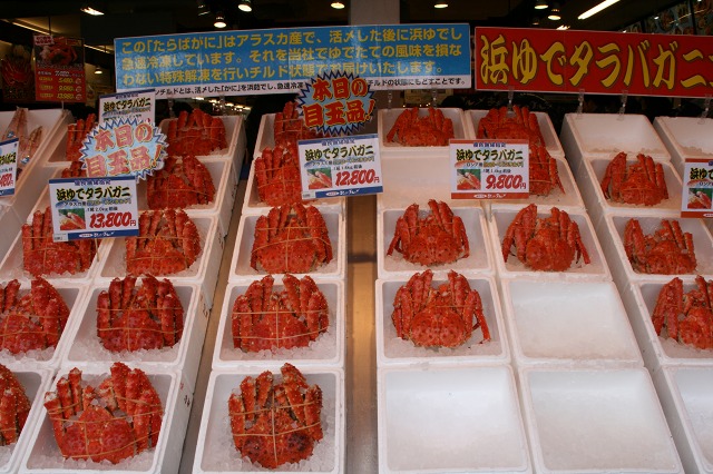 ファイル 131-5.jpg