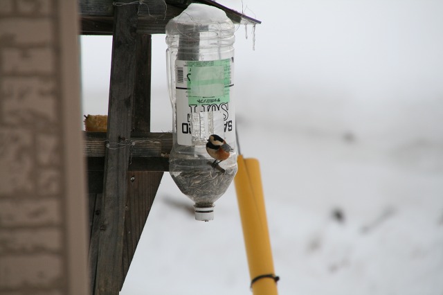 ファイル 132-2.jpg