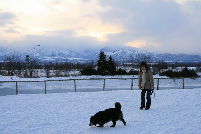 ファイル 133-3.jpg