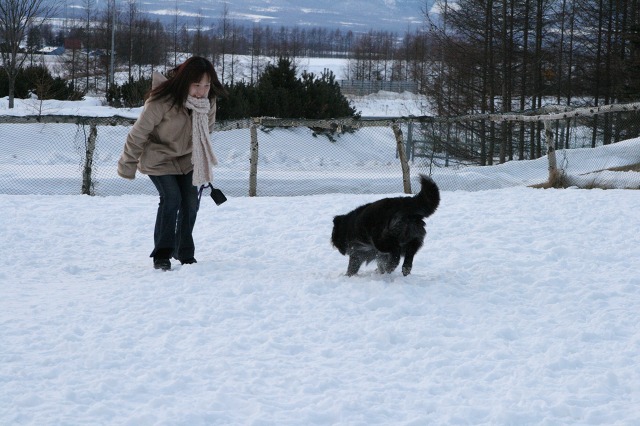 ファイル 133-4.jpg