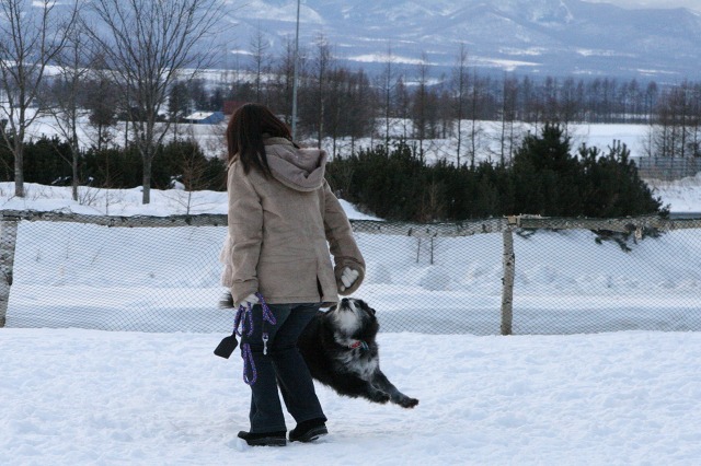 ファイル 133-5.jpg